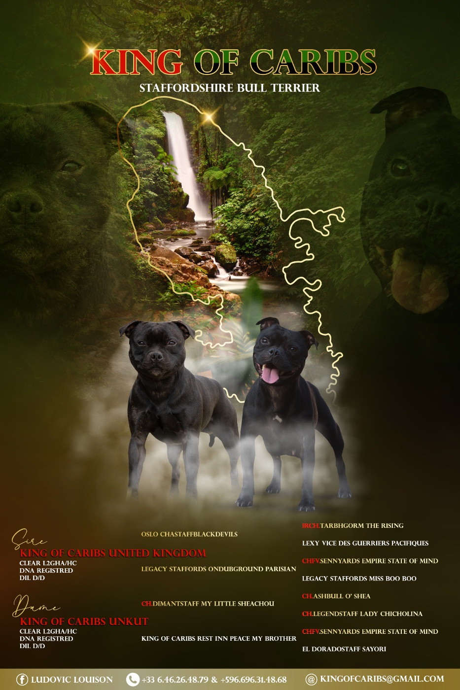 Publication : King Of Caribs 