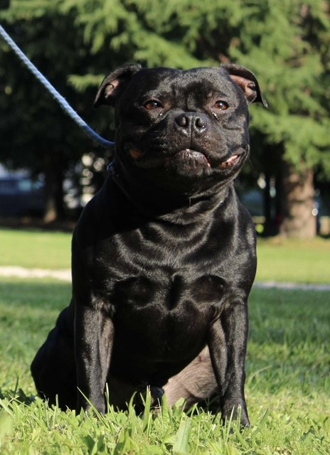 Publication : Du Domaine De La Fosse Aux Loups 