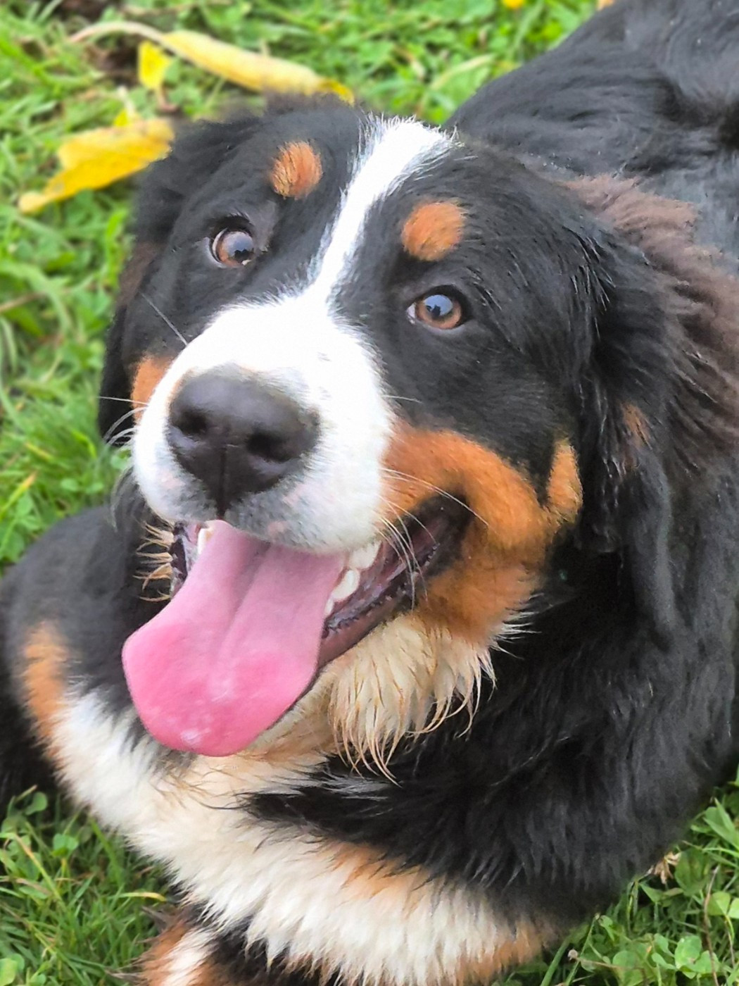 Publication : De La Terre D'Oslo 