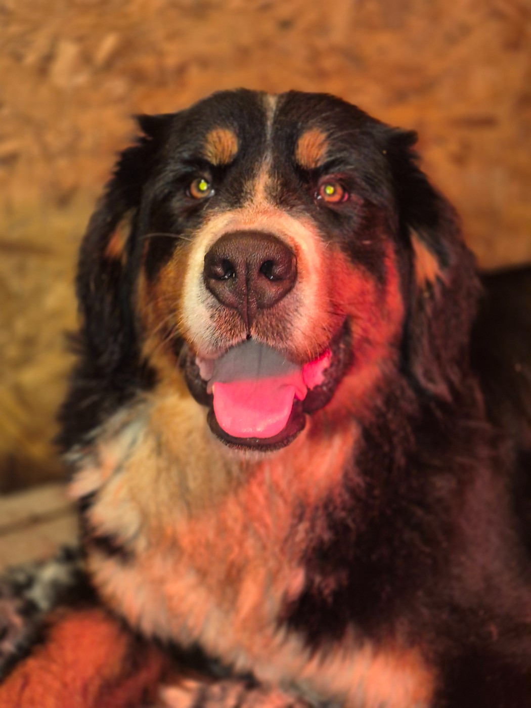 Publication : De La Terre D'Oslo 