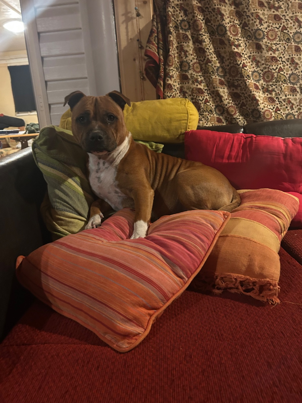 Publication : (Sans Affixe) 