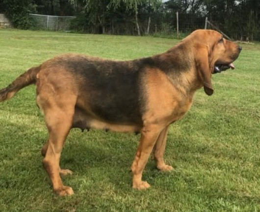 boru's Time of my life