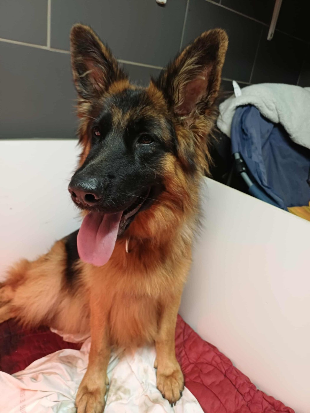 Publication : Le Val De Ma Rhea-lité 