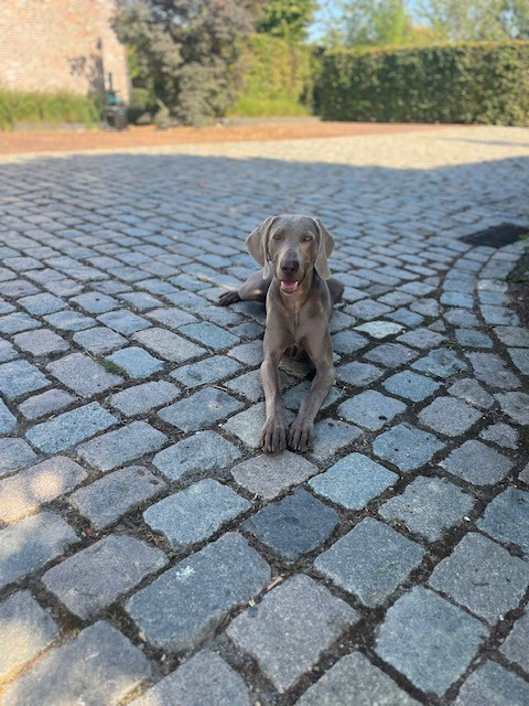 Publication : Colour The Wind 