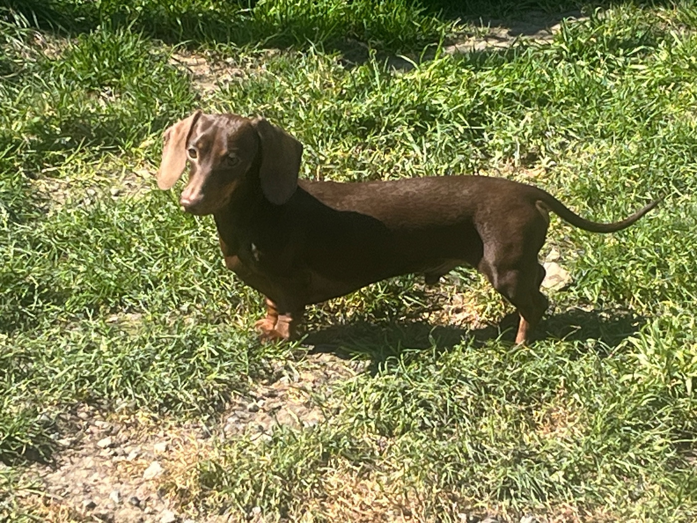 Publication : du Domaine de la Flammelière 