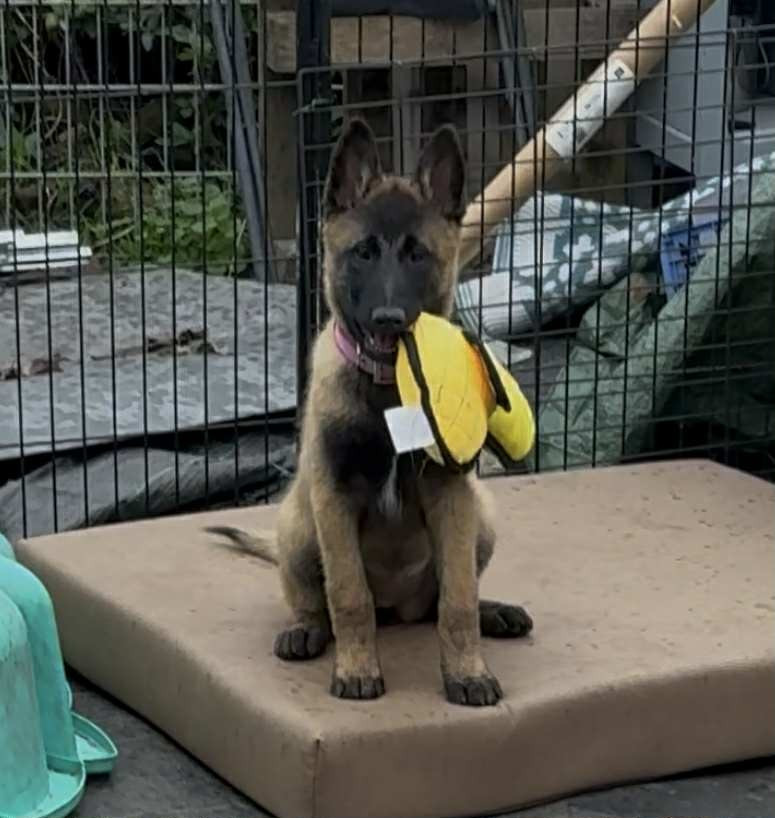 Publication : maski du van lappeenranta 