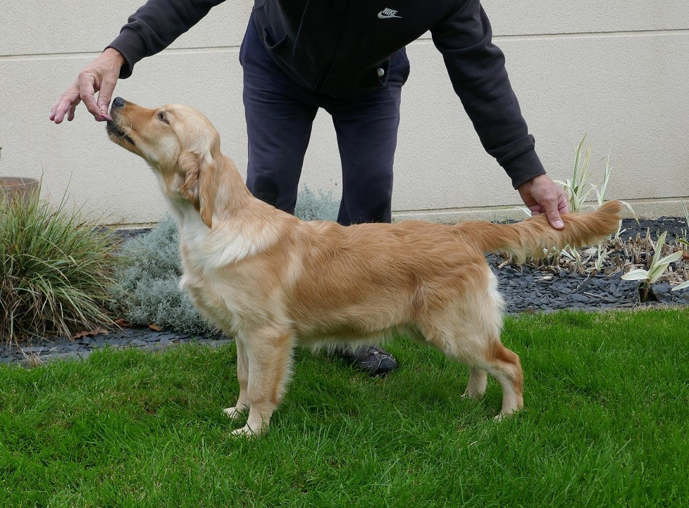 Publication : Du Fort De Bertheaume