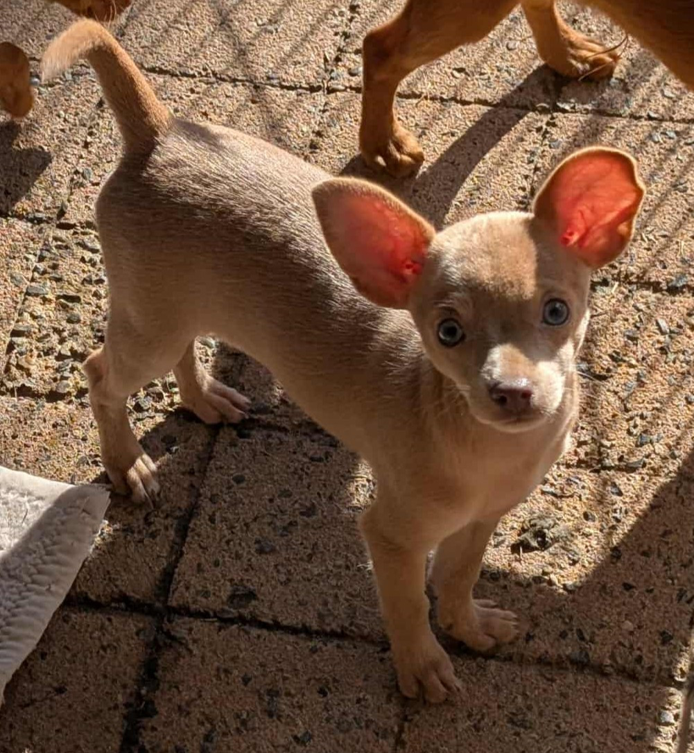 Publication : au Royaume D'ultra