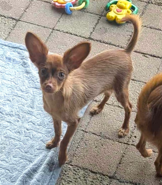 Publication : au Royaume D'ultra