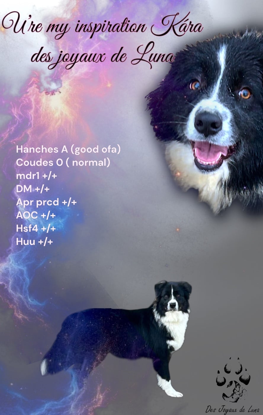 Publication : Des Joyaux De Luna 