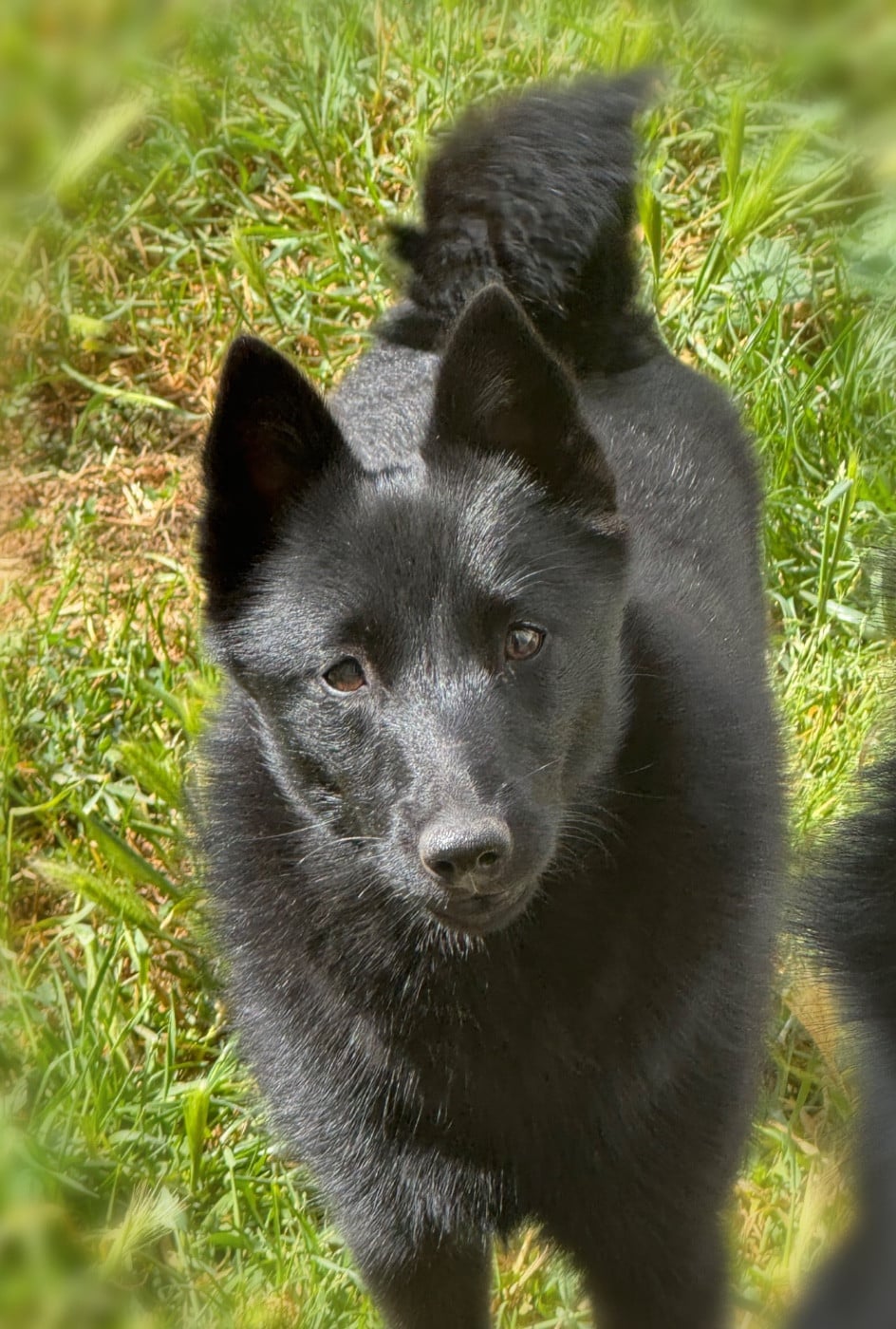 Publication : du Mas de Valaurine 