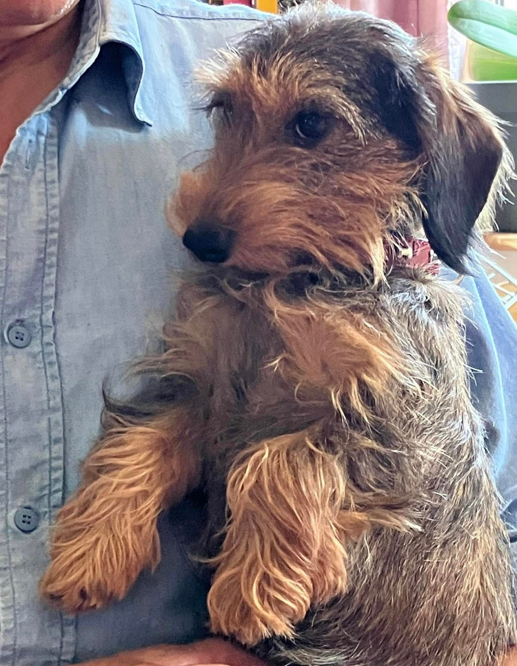 Publication : Du Domaine Brunemont