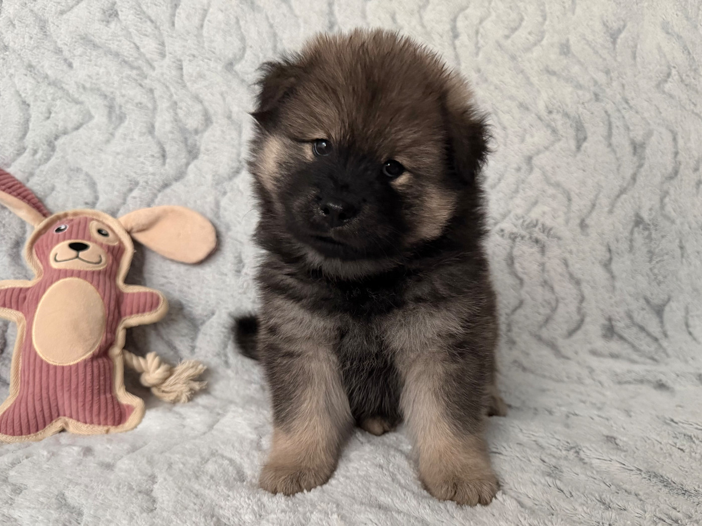 Publication : De La Vallée Du Petit Pré 