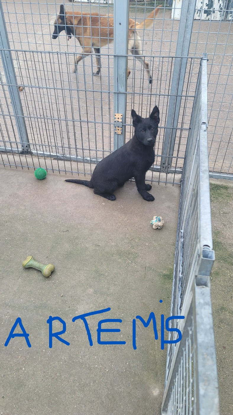 Publication : Du domaine de maryanne 