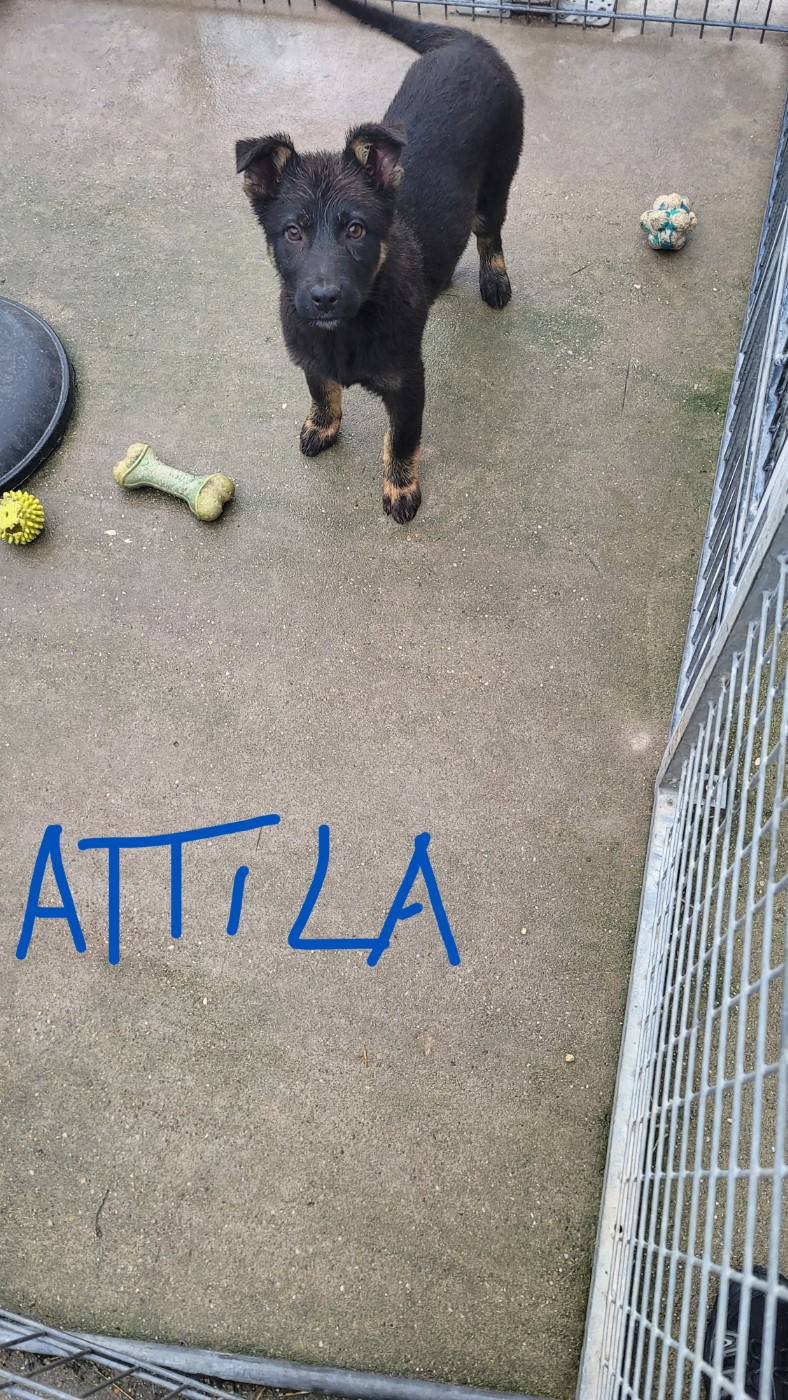 Publication : Du domaine de maryanne Auteur : sylvain prod hon