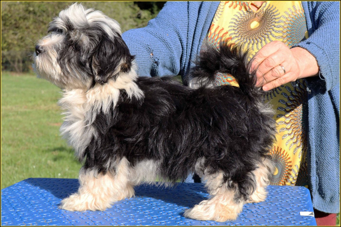 Publication : Du Buisson De La Passée 