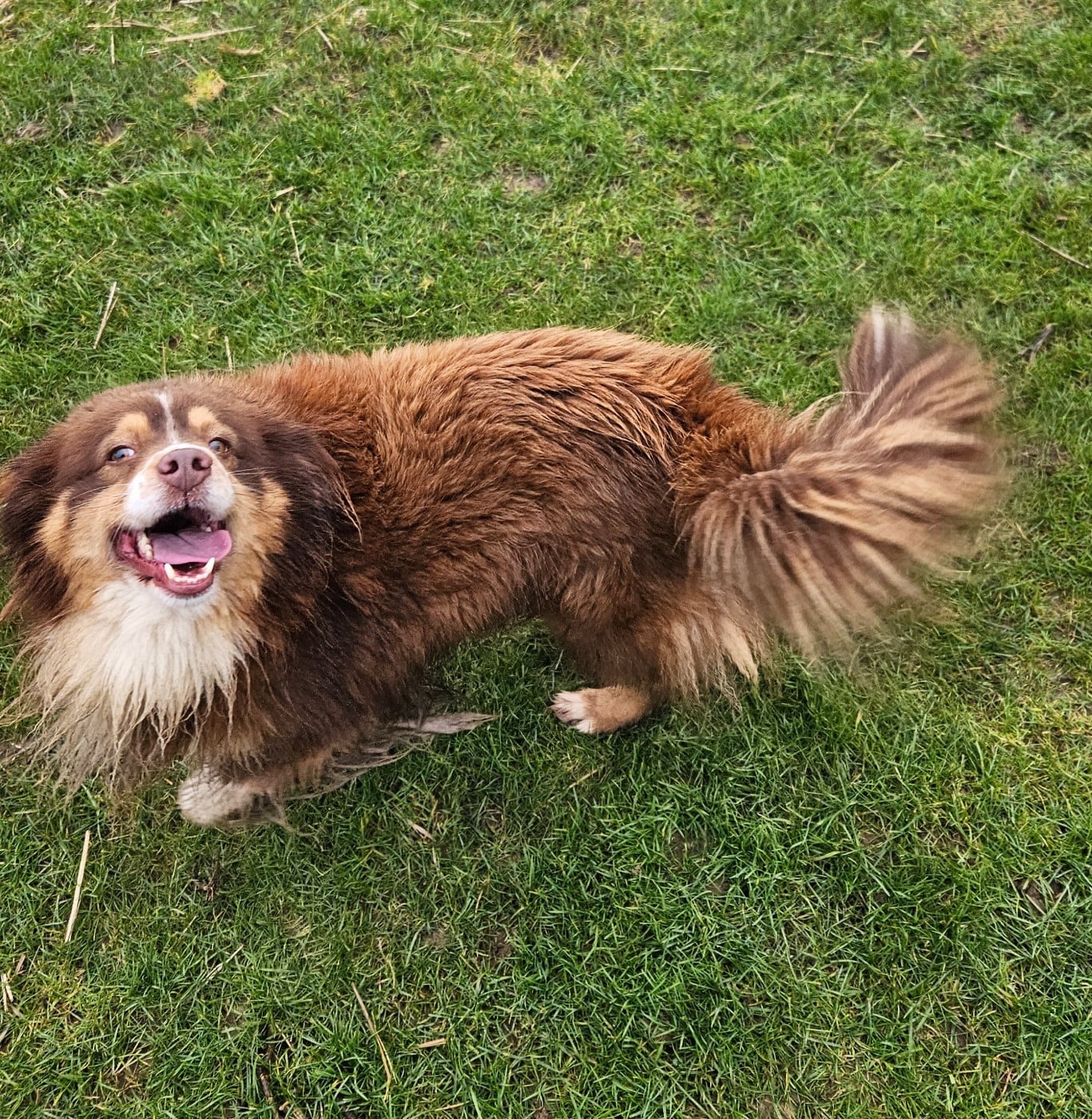 Publication : De La Bernaquiere 