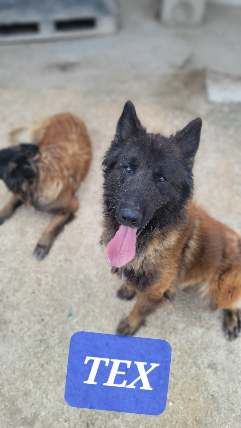 Publication : Du domaine de maryanne Auteur : sylvain prod hon