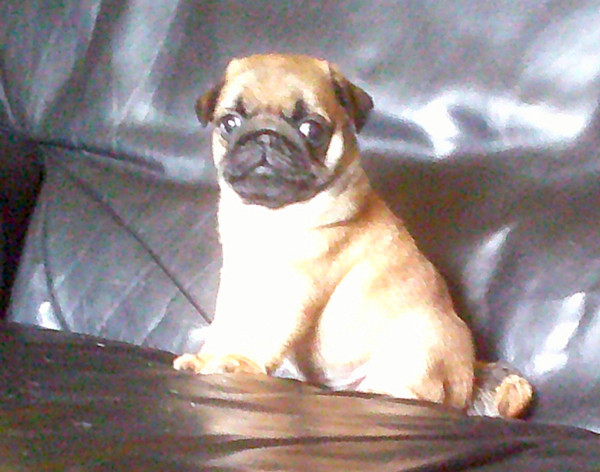 Publication : Nostalgie de France Auteur : Nostalgie de France