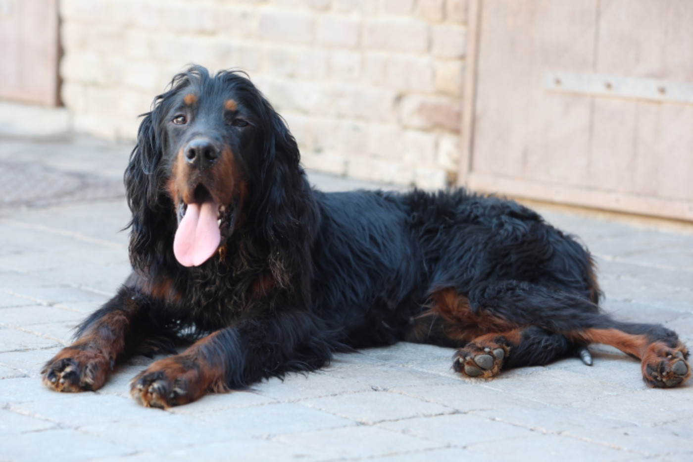 Publication : Du Domaine De Loumatpau 