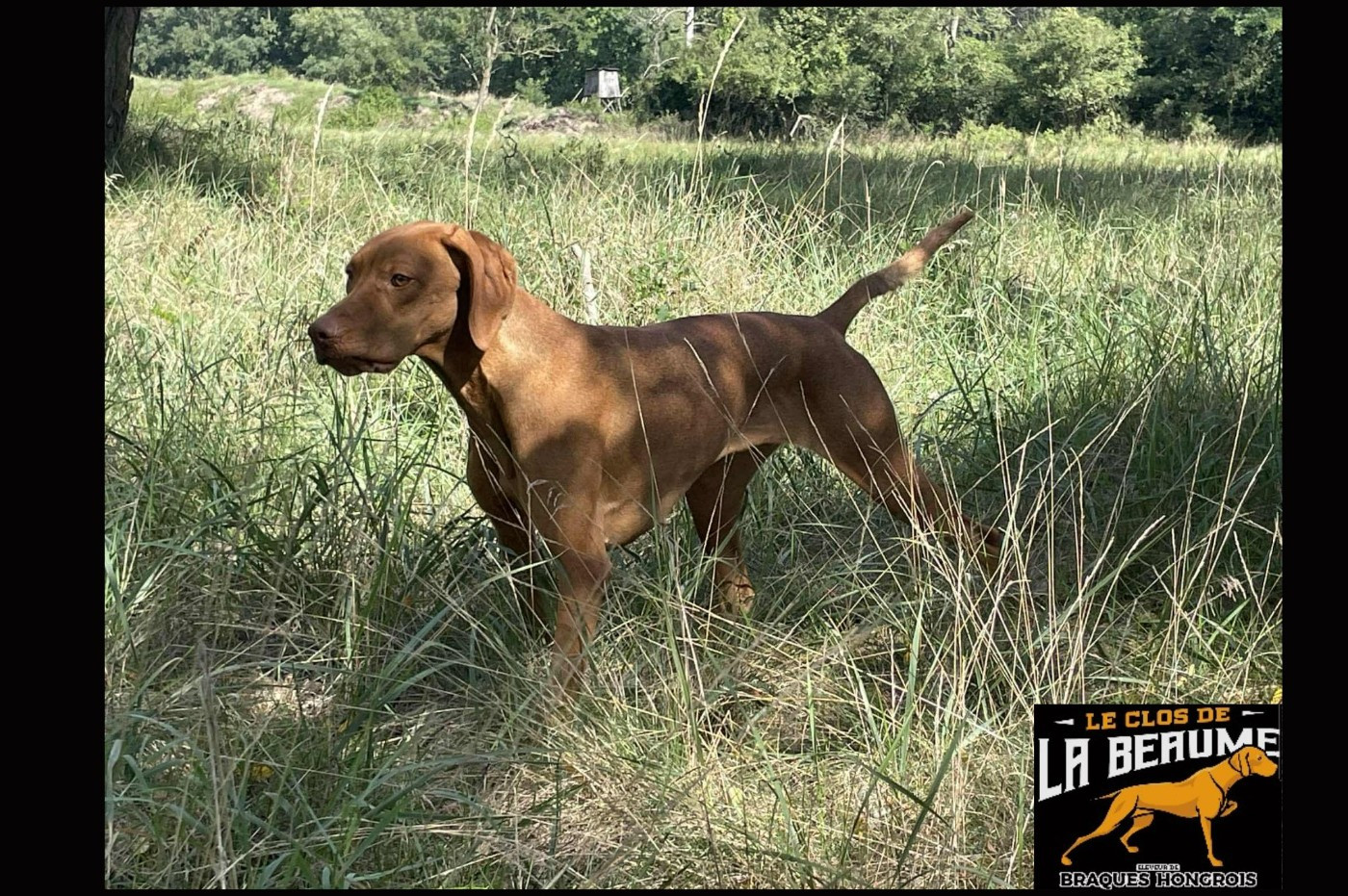 Publication : Du clos de la beaume 