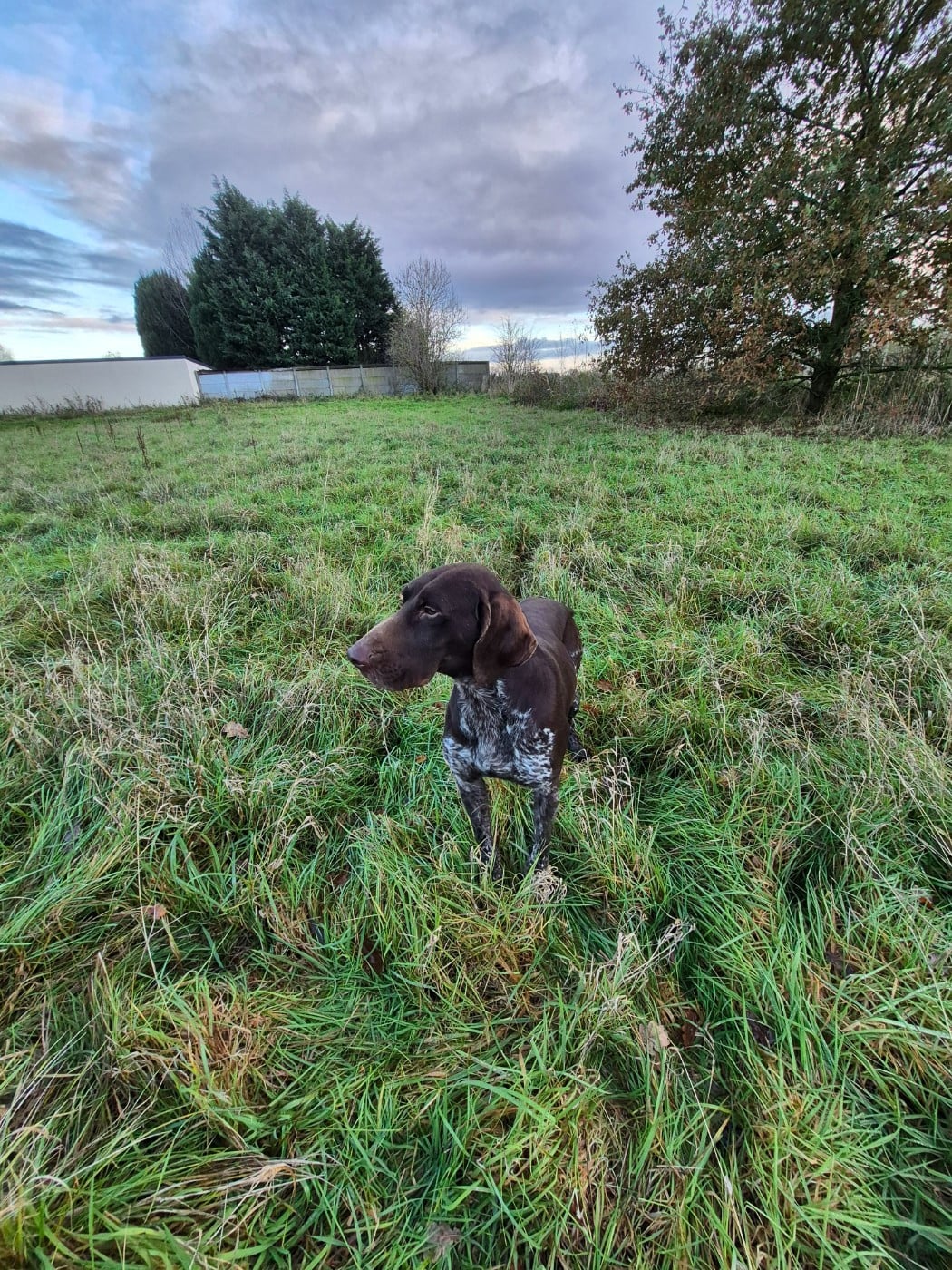 Publication : des Mannes Fleuries 