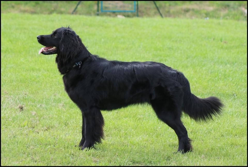 Publication : Du Souffle De Lusaye 