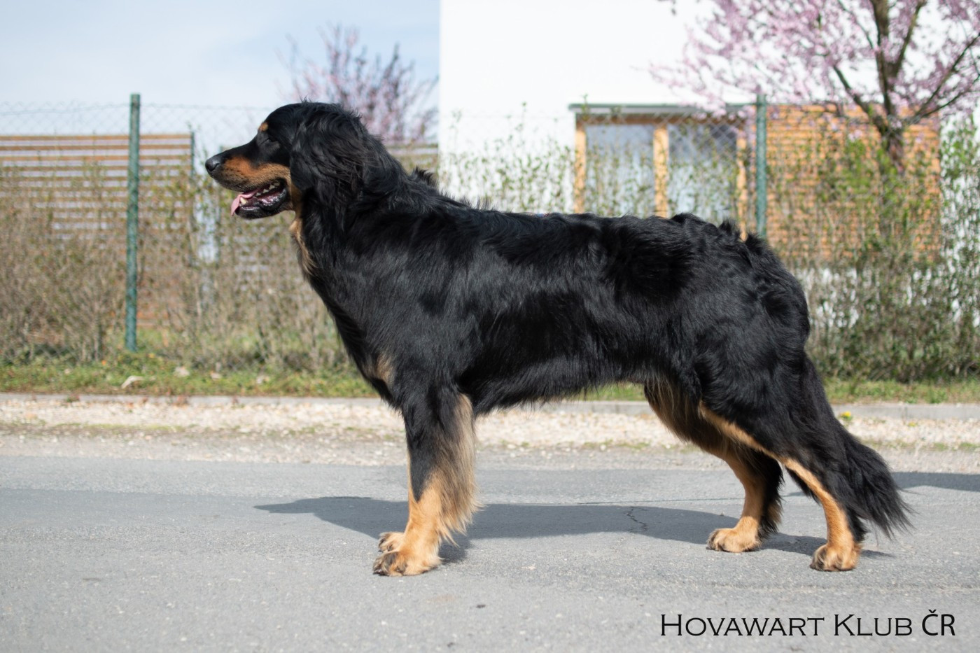 Publication : Du Souffle De Lusaye 