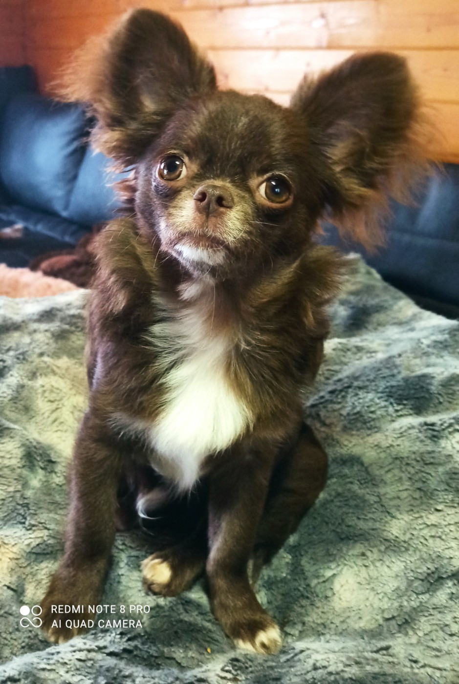 Publication : De L'ange Blanc