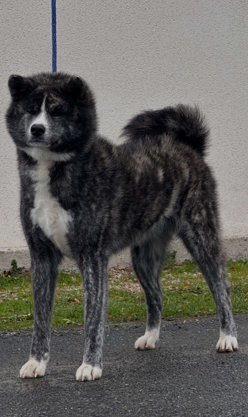 Publication : du Clos des Chtis Auteur : PROPLAN