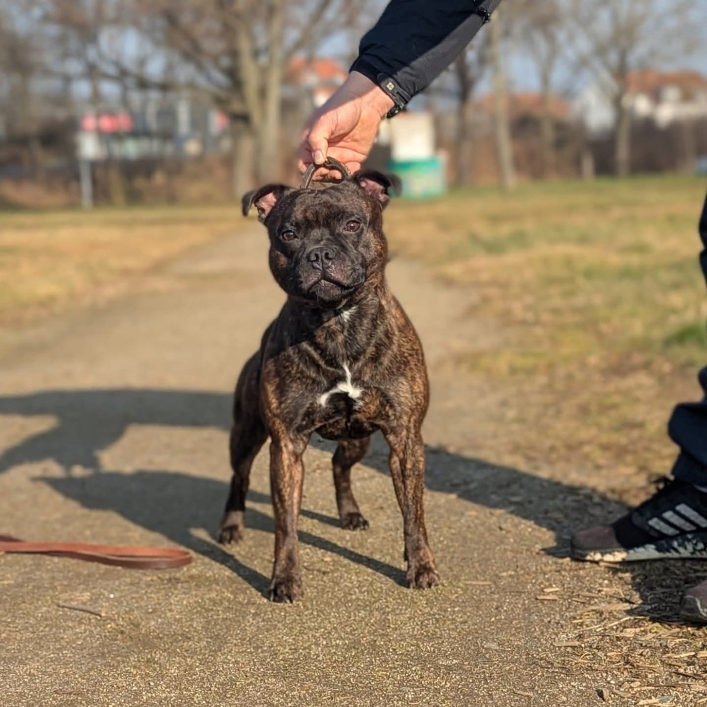 Publication : Of Secret's Sources Auteur : Of spirit staff's