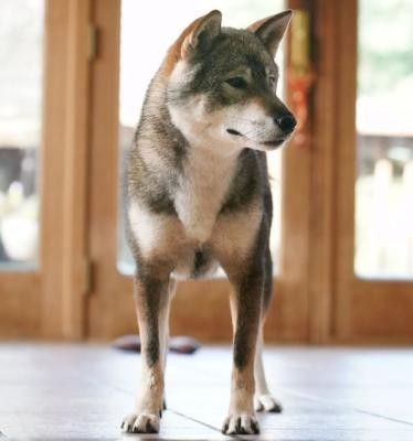 Ryuuka Go ehime kinoshitasou