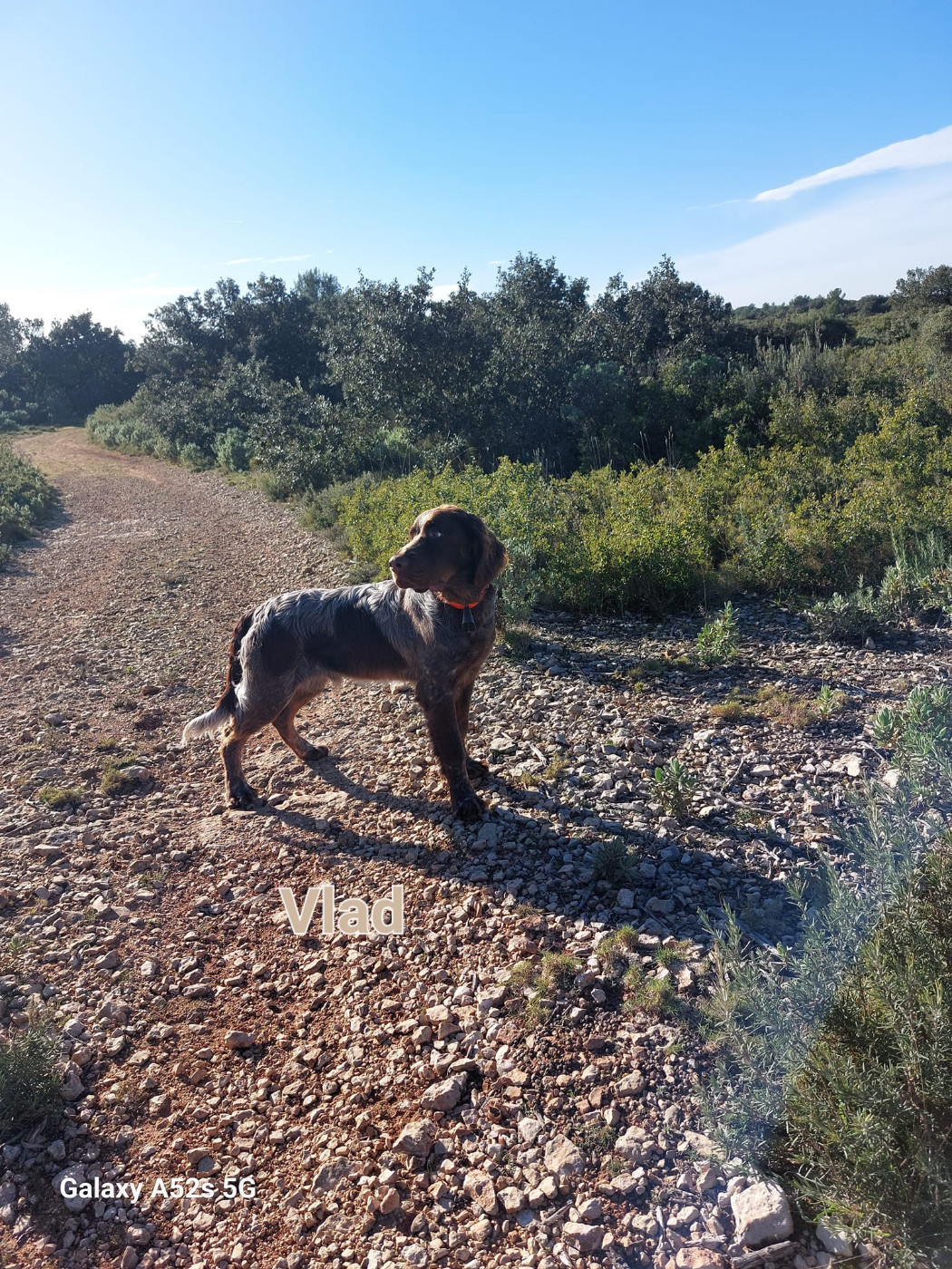 Publication : Des Nobles Terres Notre Dame Auteur : Des Nobles Terres Notre Dame