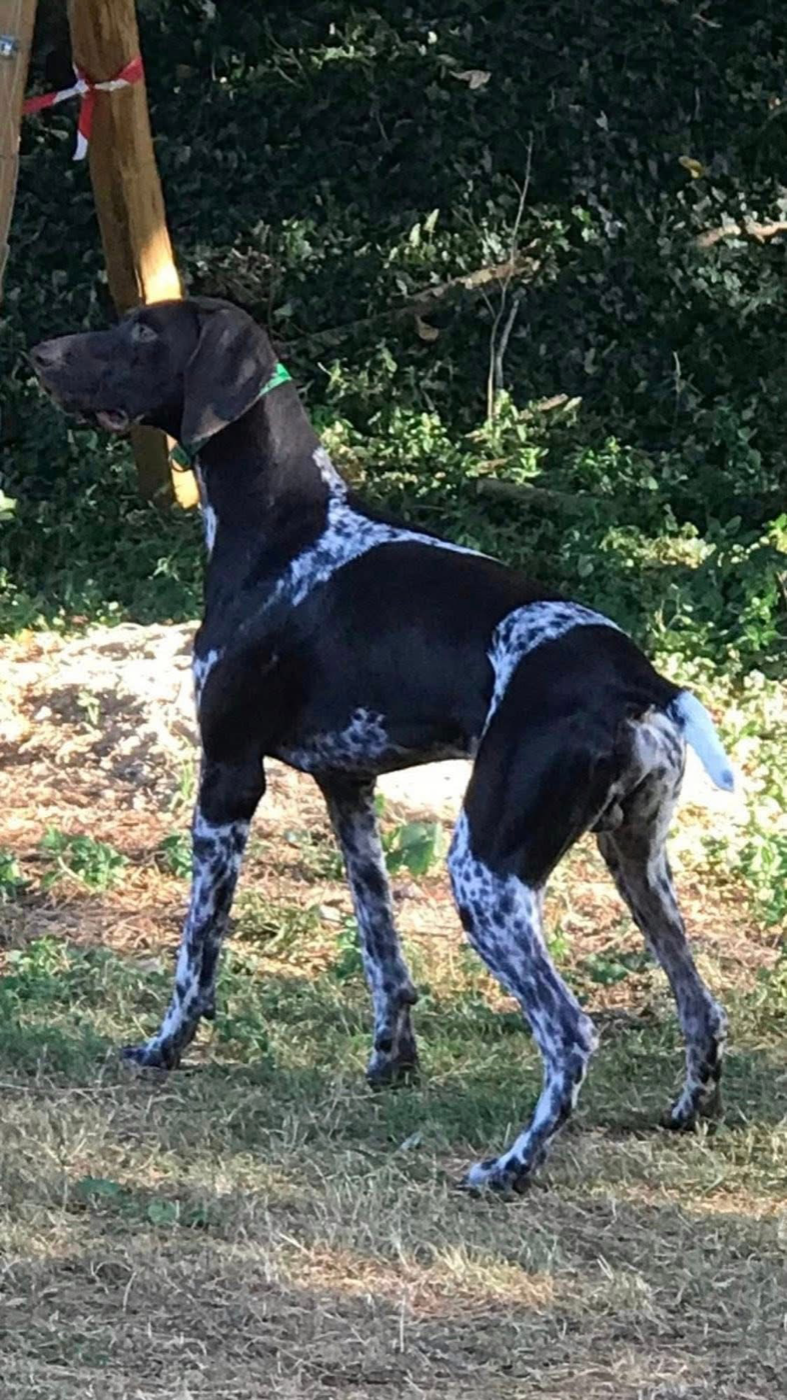 Publication : Du Clos Saint Emilion 