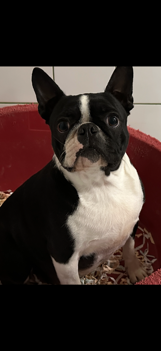 Publication : du manoir de la corbie 