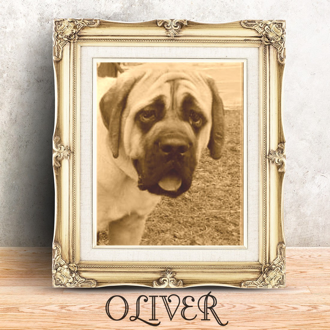 OLIVER SLNKO ZEMPILA