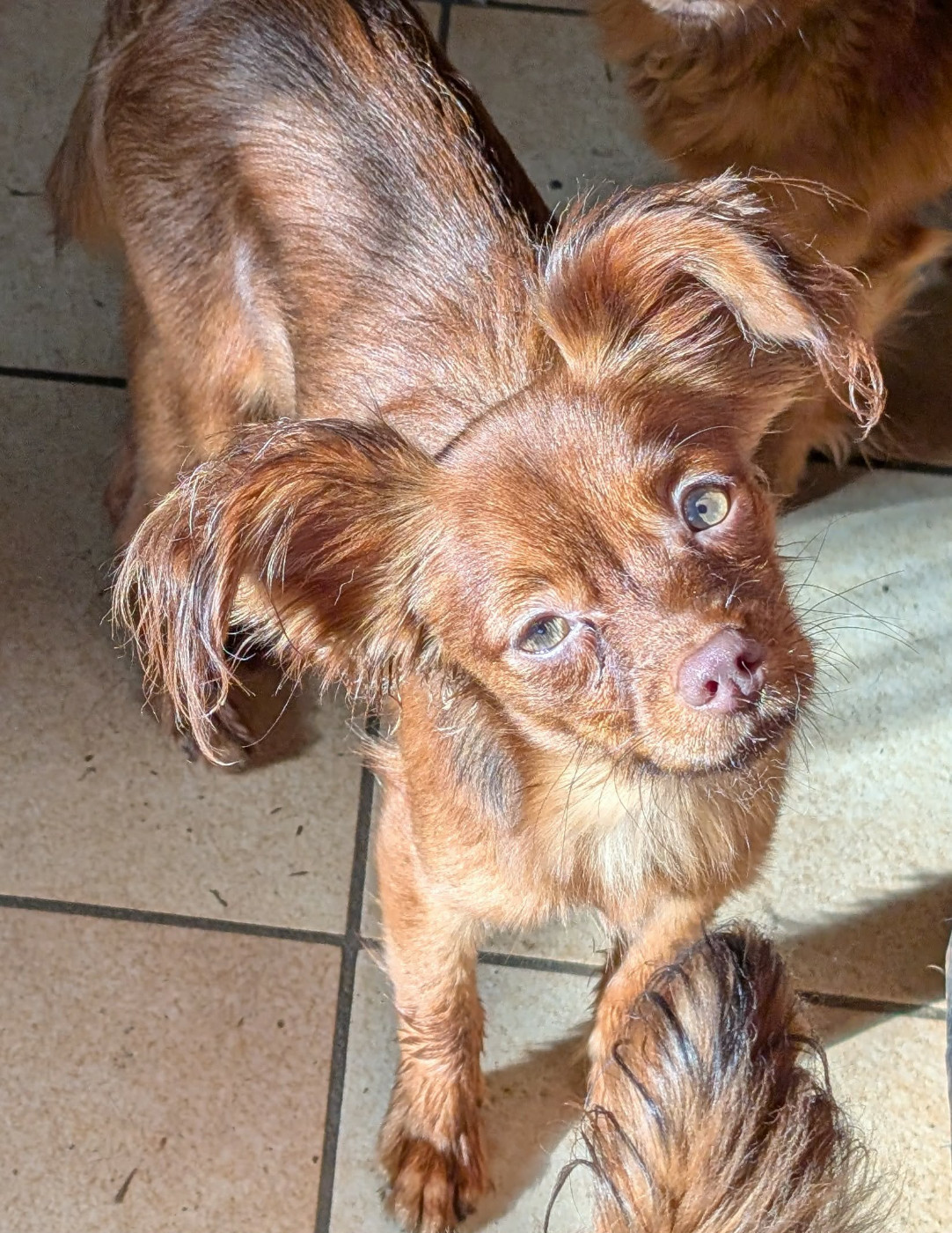 Publication : au Royaume D'ultra