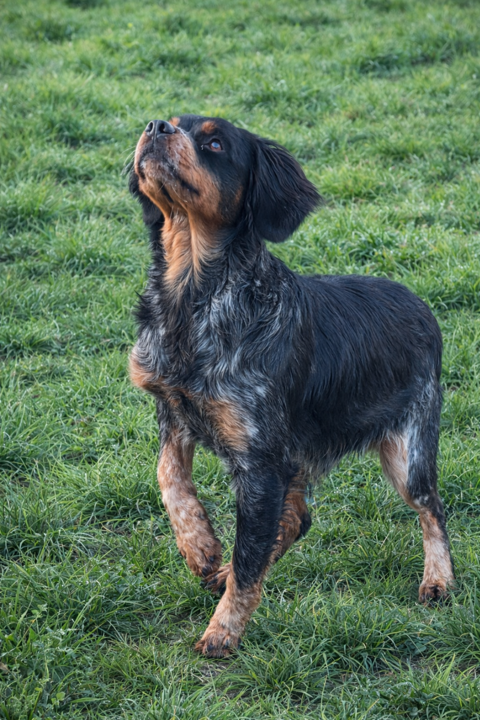 Publication : du Clos du Grand Lieu 