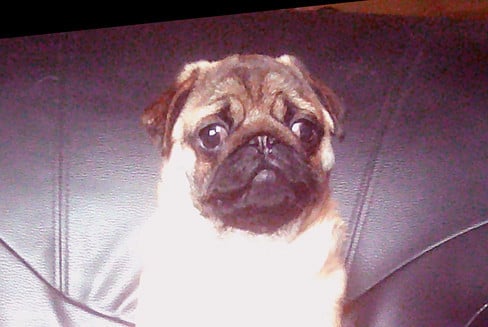 Publication : Nostalgie de France Auteur : Nostalgie de France