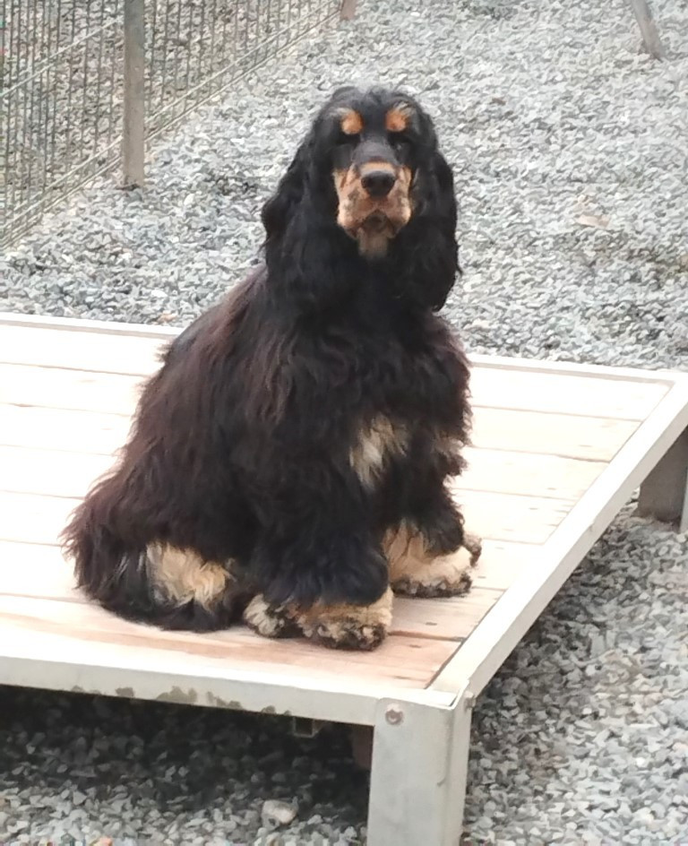 Publication : du Rieu-Grand 