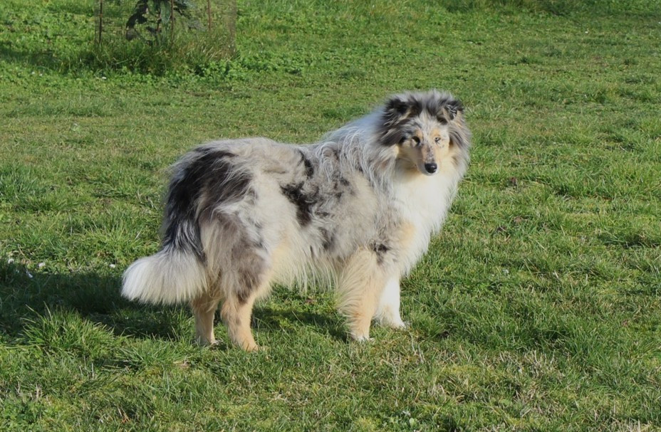 Publication : of Snowthy Park