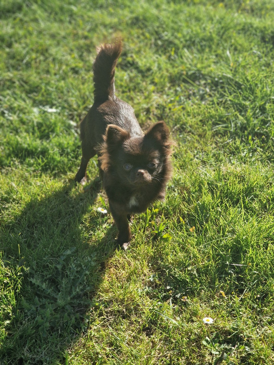 Publication : Les Anges De Sidonie 