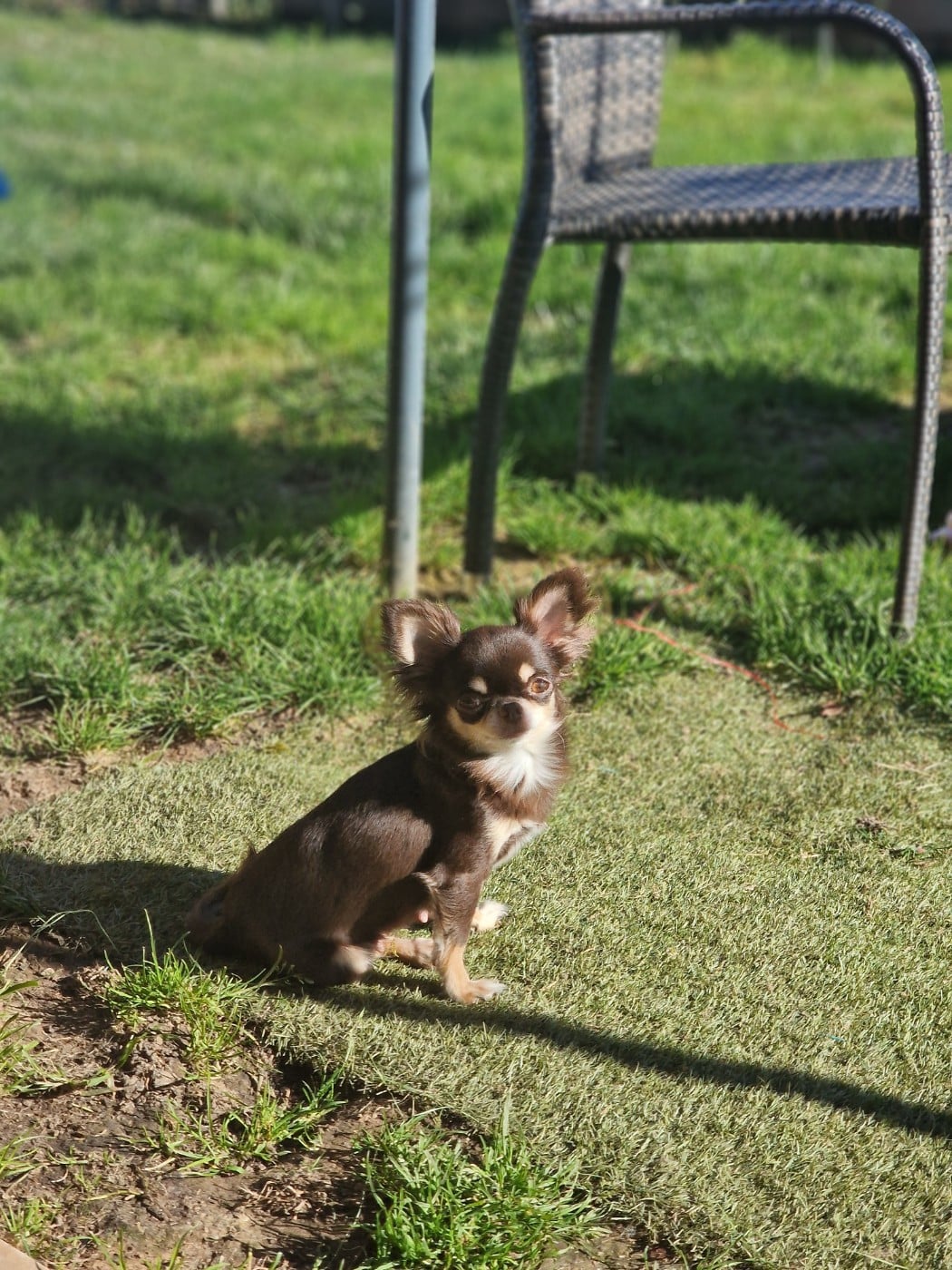 Publication : Les Anges De Sidonie