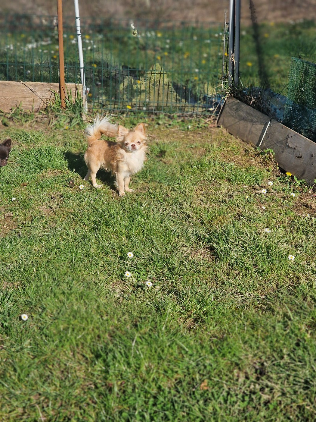 Publication : Les Anges De Sidonie