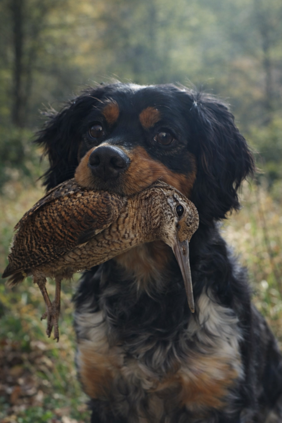 Publication : du Clos du Grand Lieu 