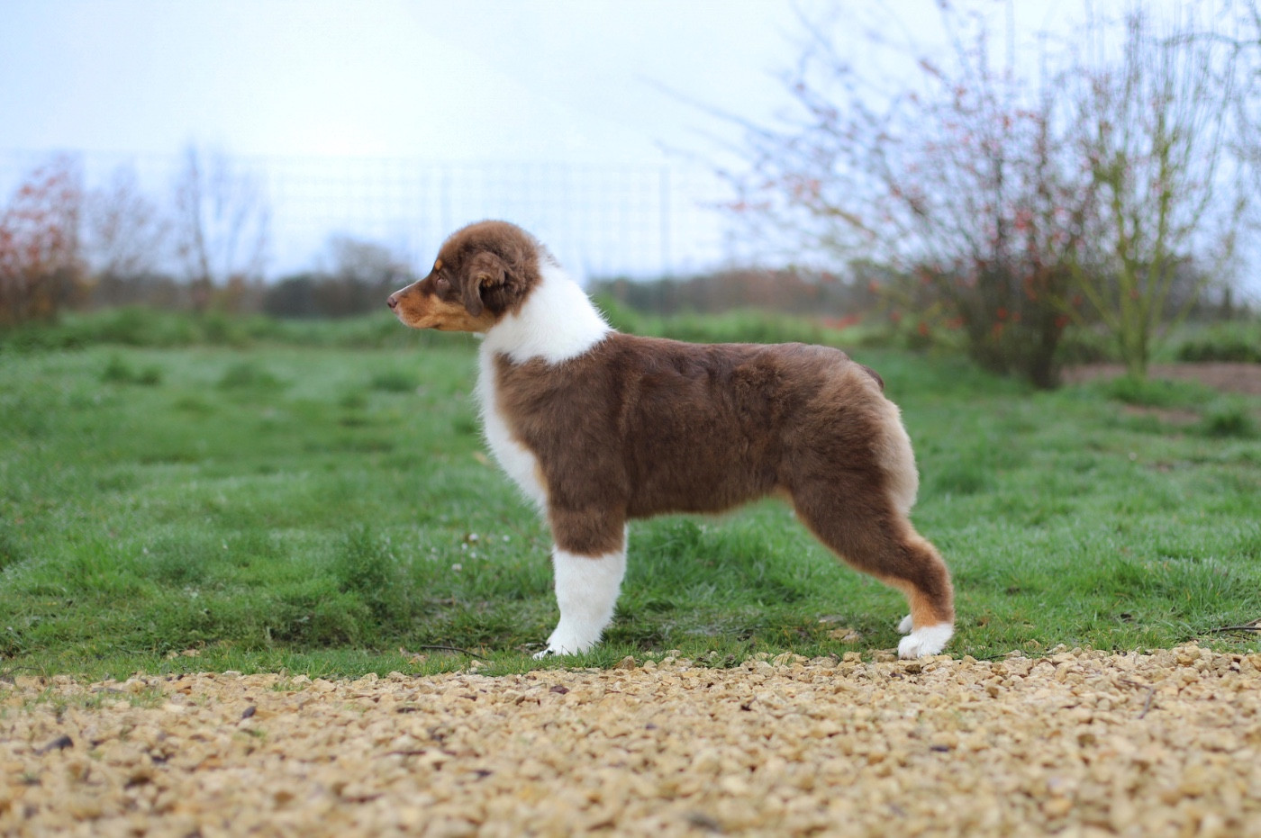 Publication : Of Truest Desire