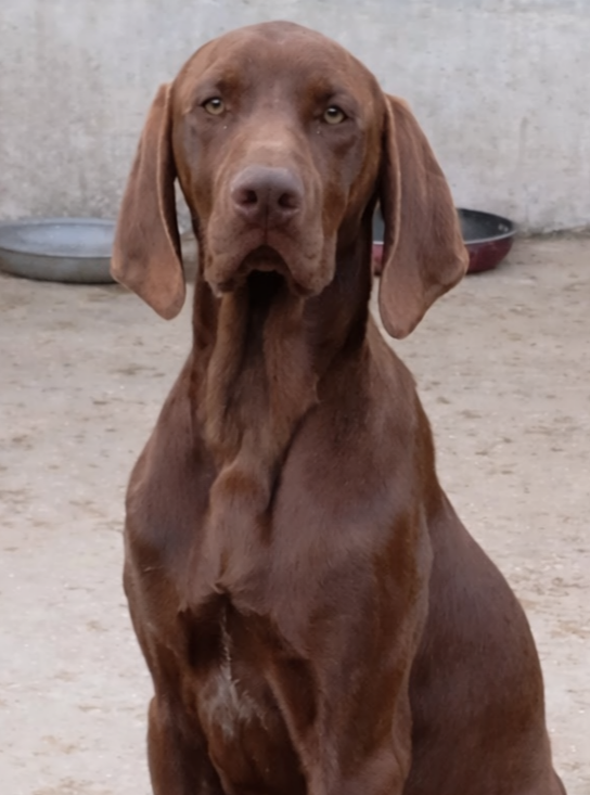 Publication : Des Vents Jalouses Auteur : Des vents jalousés