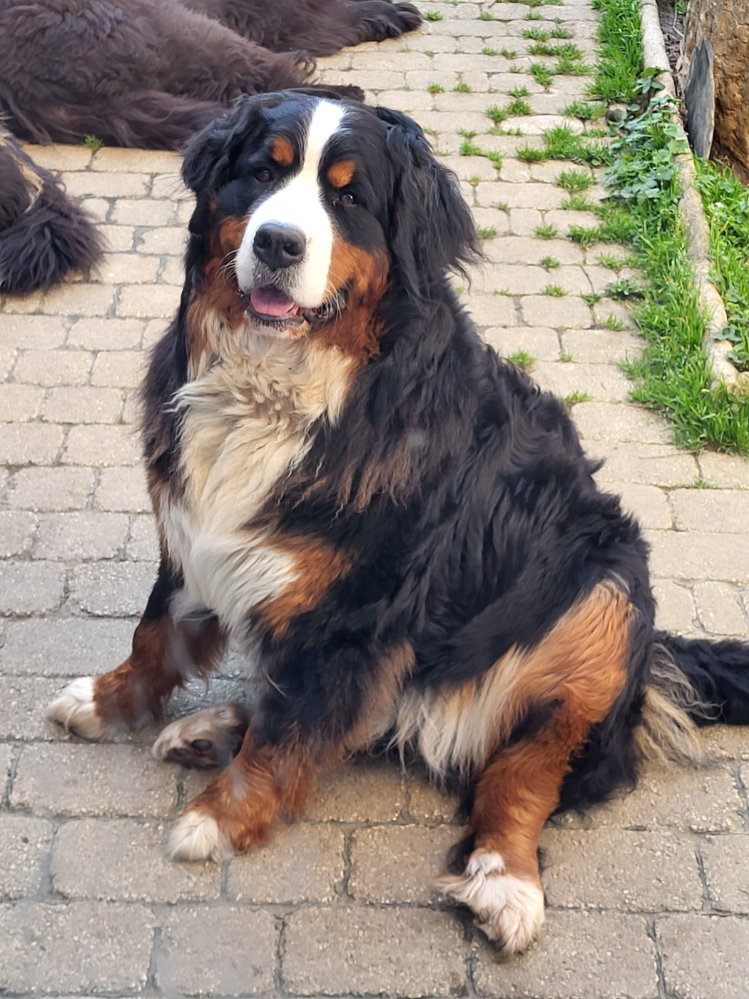 Publication : de l'empreinte de Jais 