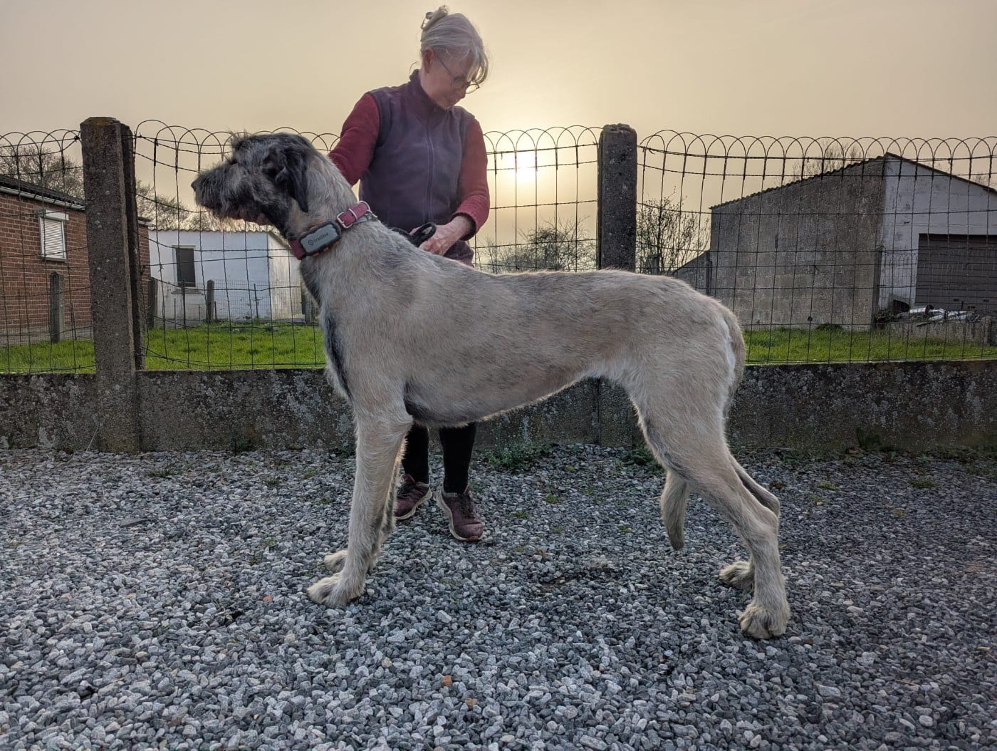 Publication : Des Terres De Norfendre Auteur : mb