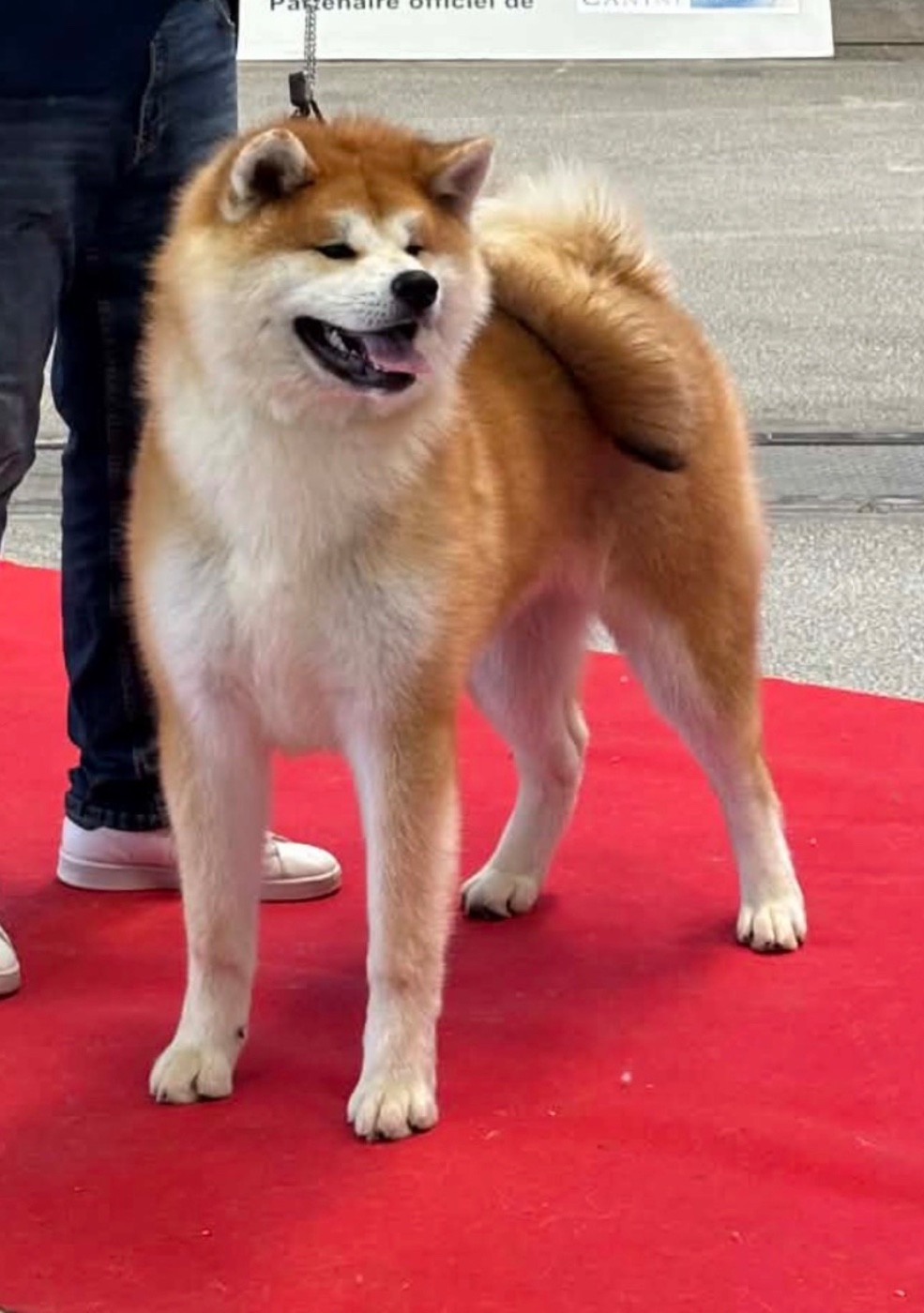 Publication : du Clos des Chtis Auteur : Team du clos des Chtis